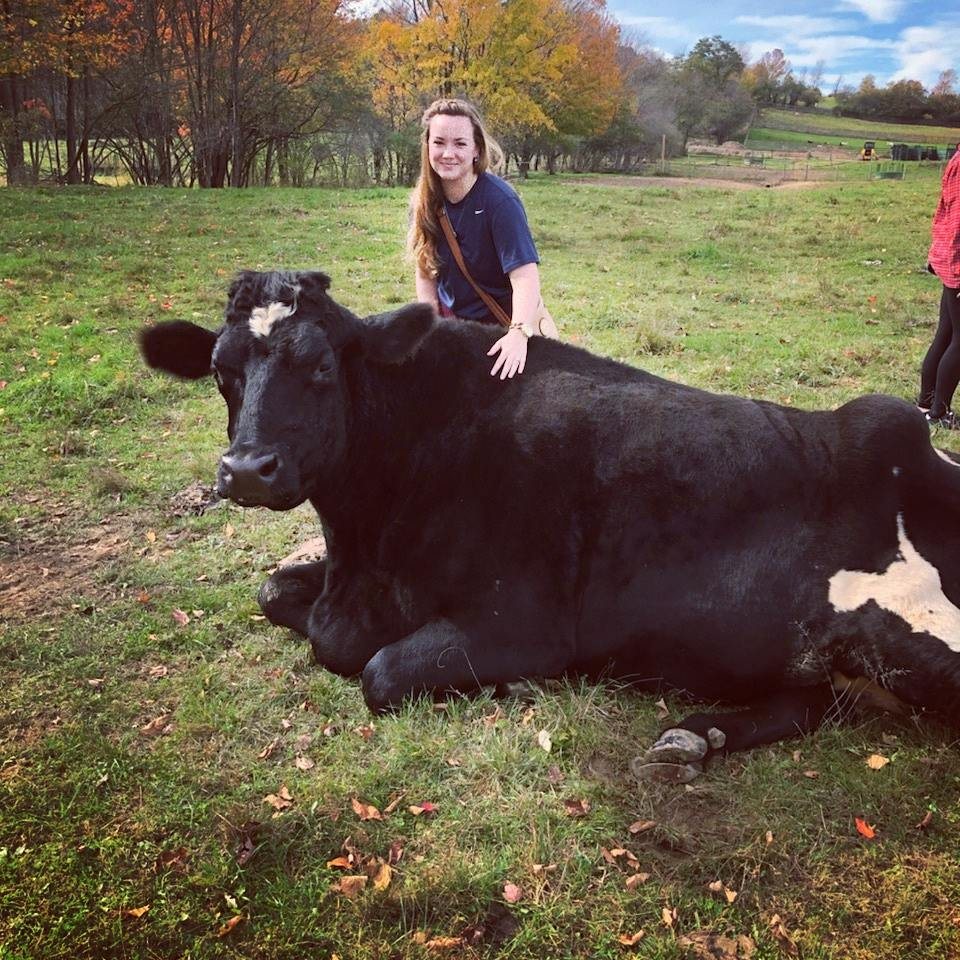 Angel sitting beside a resting cow